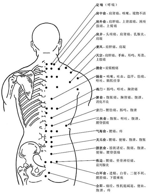 長生學穴位 數字圖